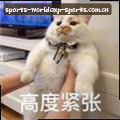 孙悦